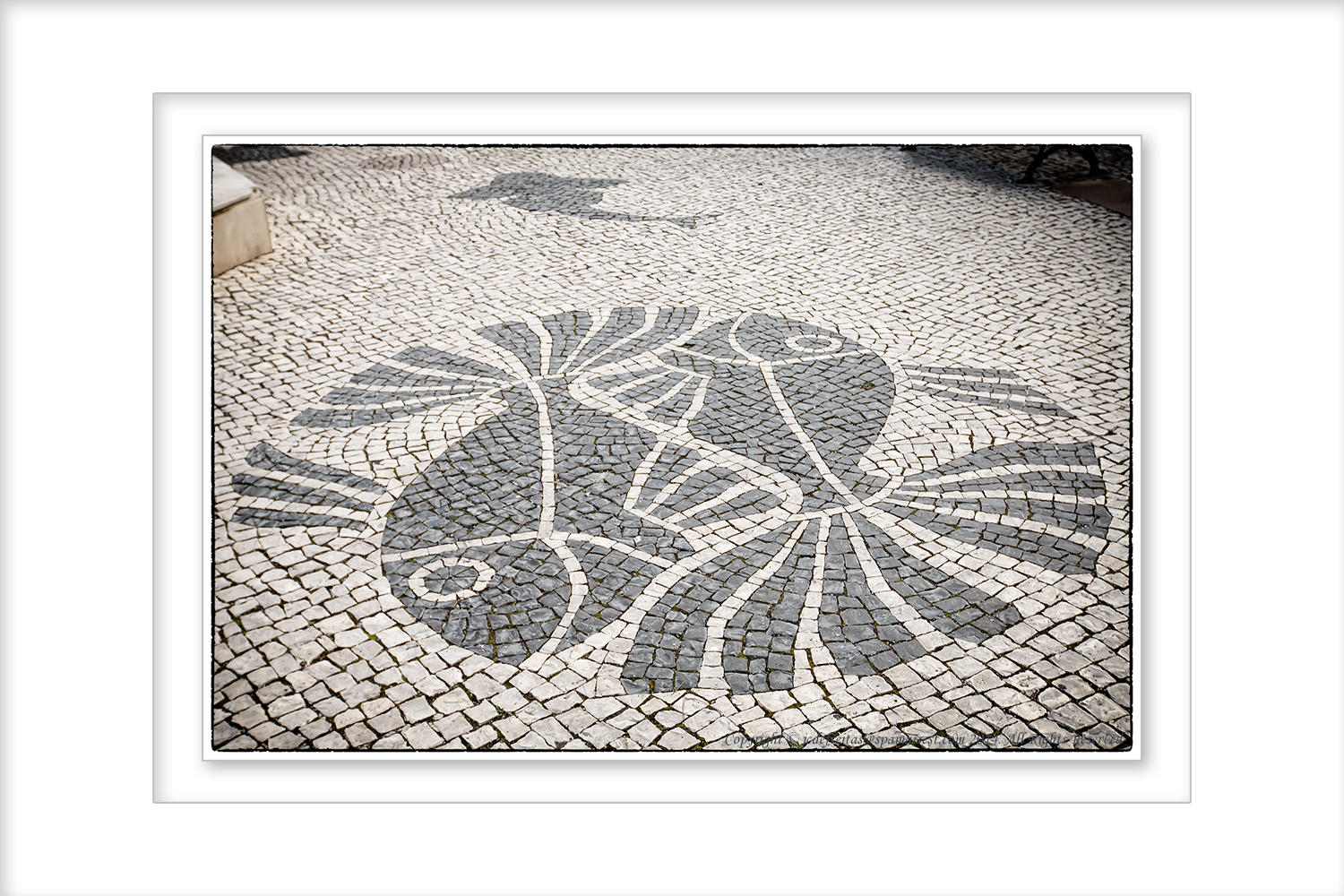 2014 - Calçada Portuguesa (cobblestones) - Lagos, Algarve - Portugal