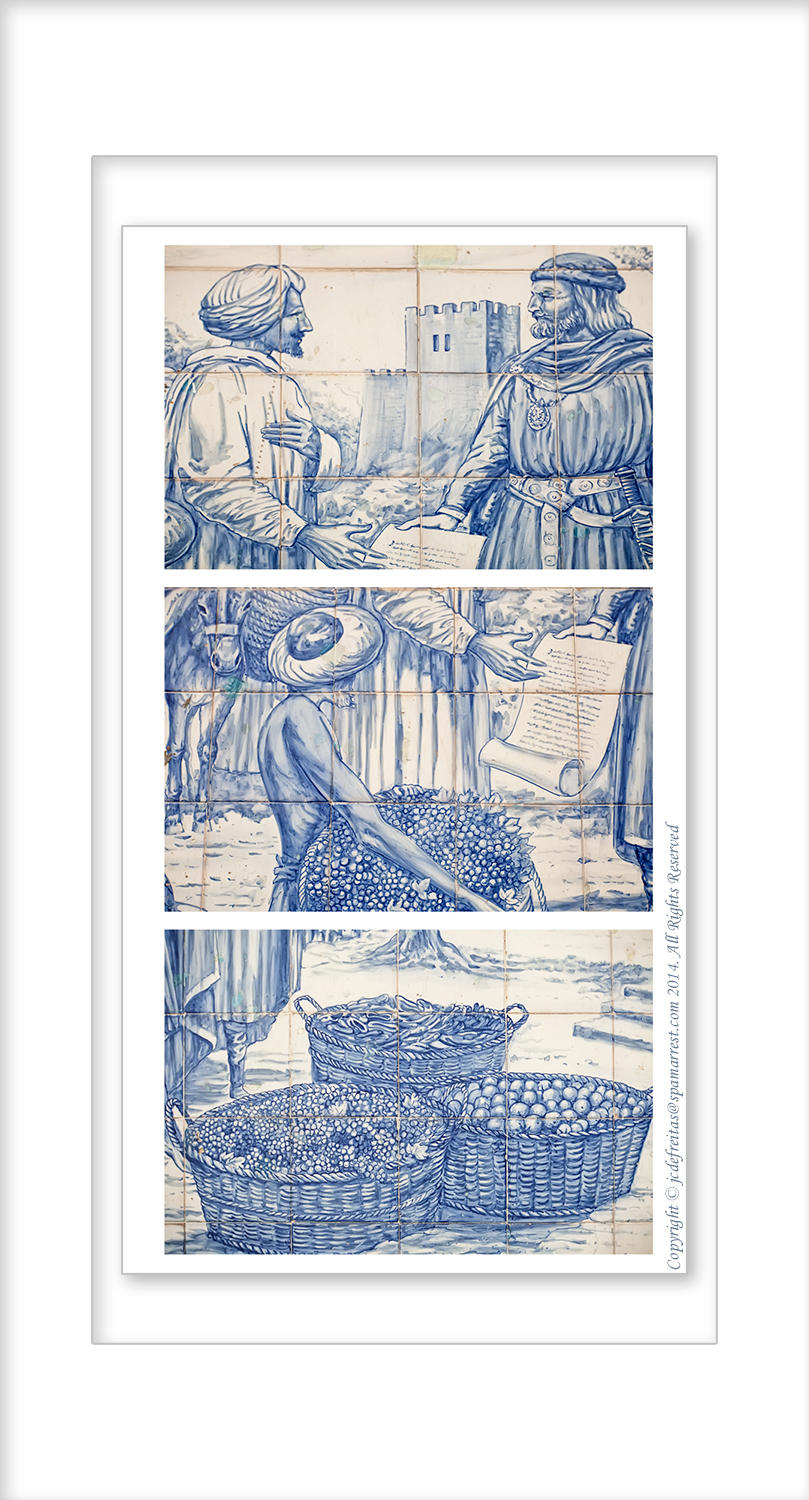 2014 - Azulejos (Portugues Tiles) - Faro, Algarve - Portugal