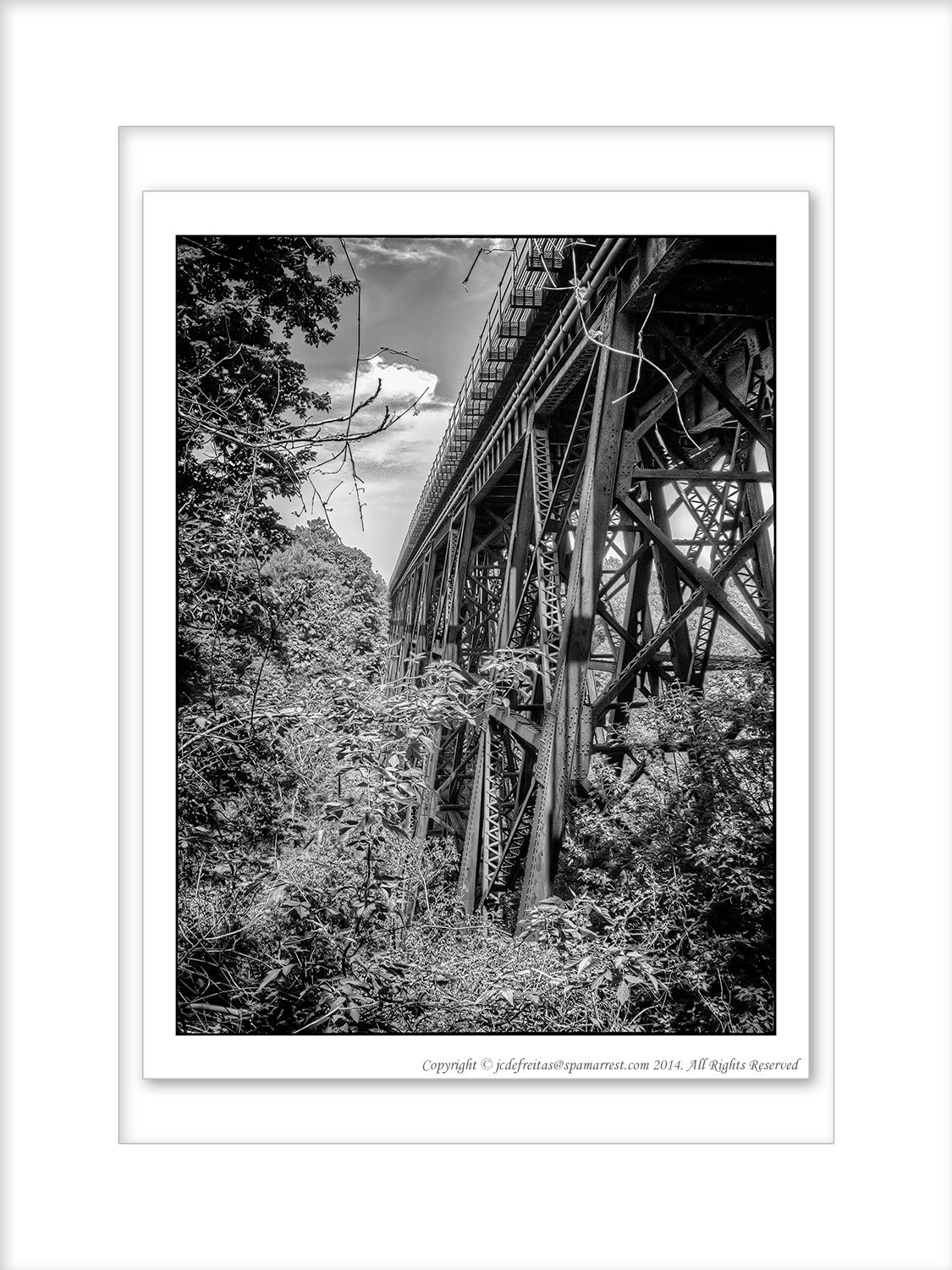 2014 - East Don Trail - Toronto, Ontario - Canada