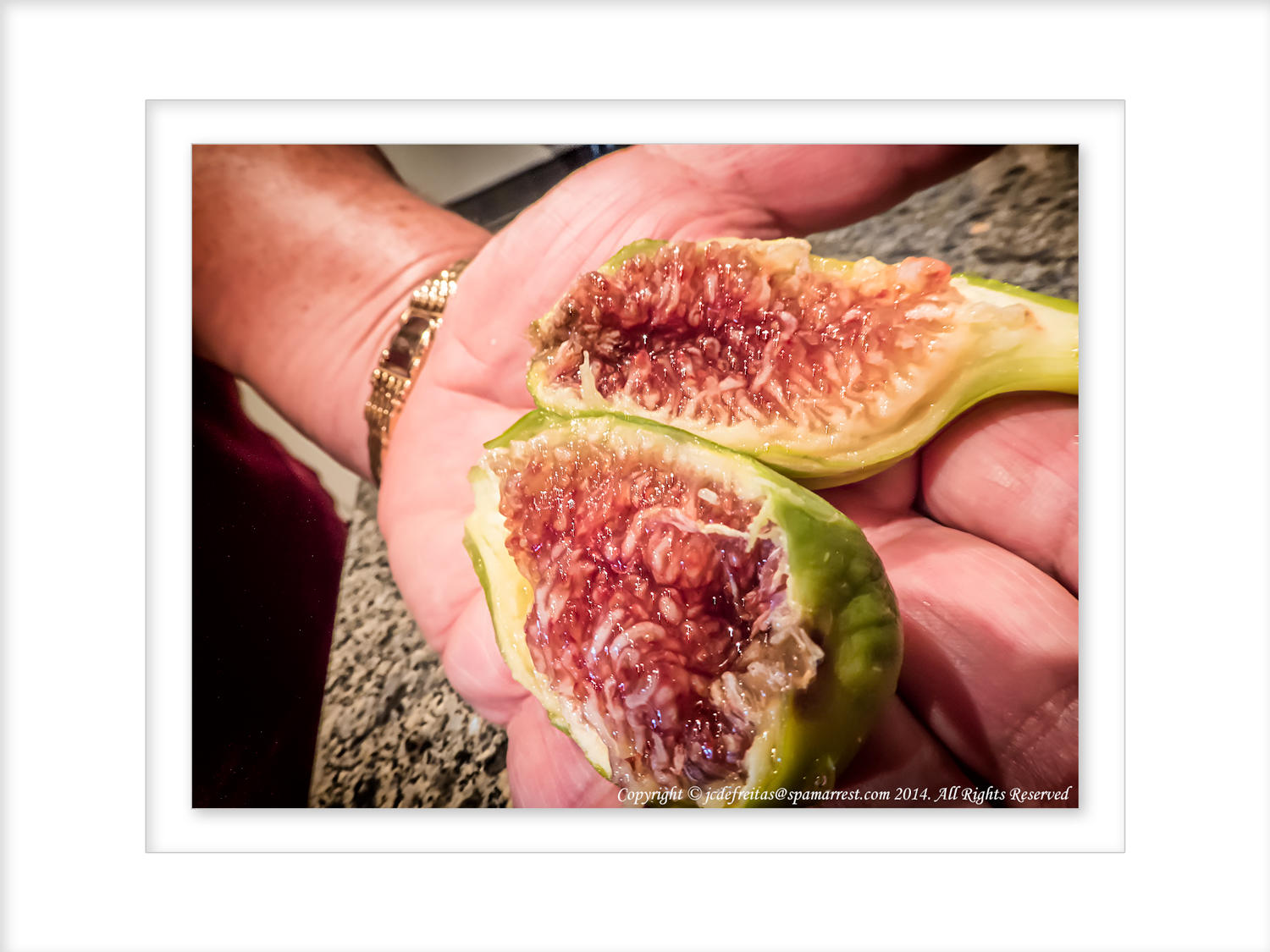 2014 - Fig from my balcony fig plant - Toronto, Ontario - Canada