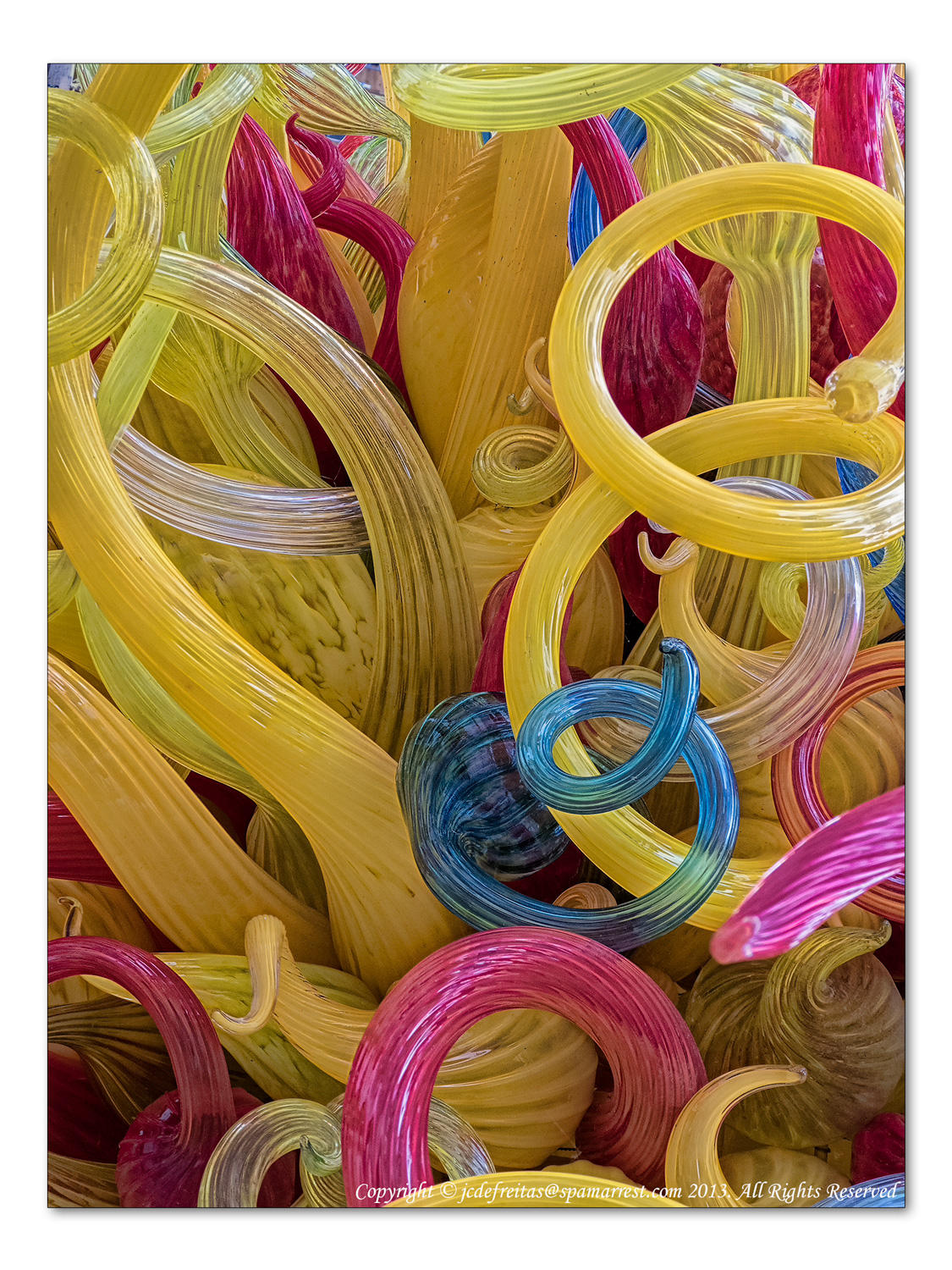 2014 - Musée des Beaux Arts (Dale Chihuly) - Montreal, Quebec - Canada