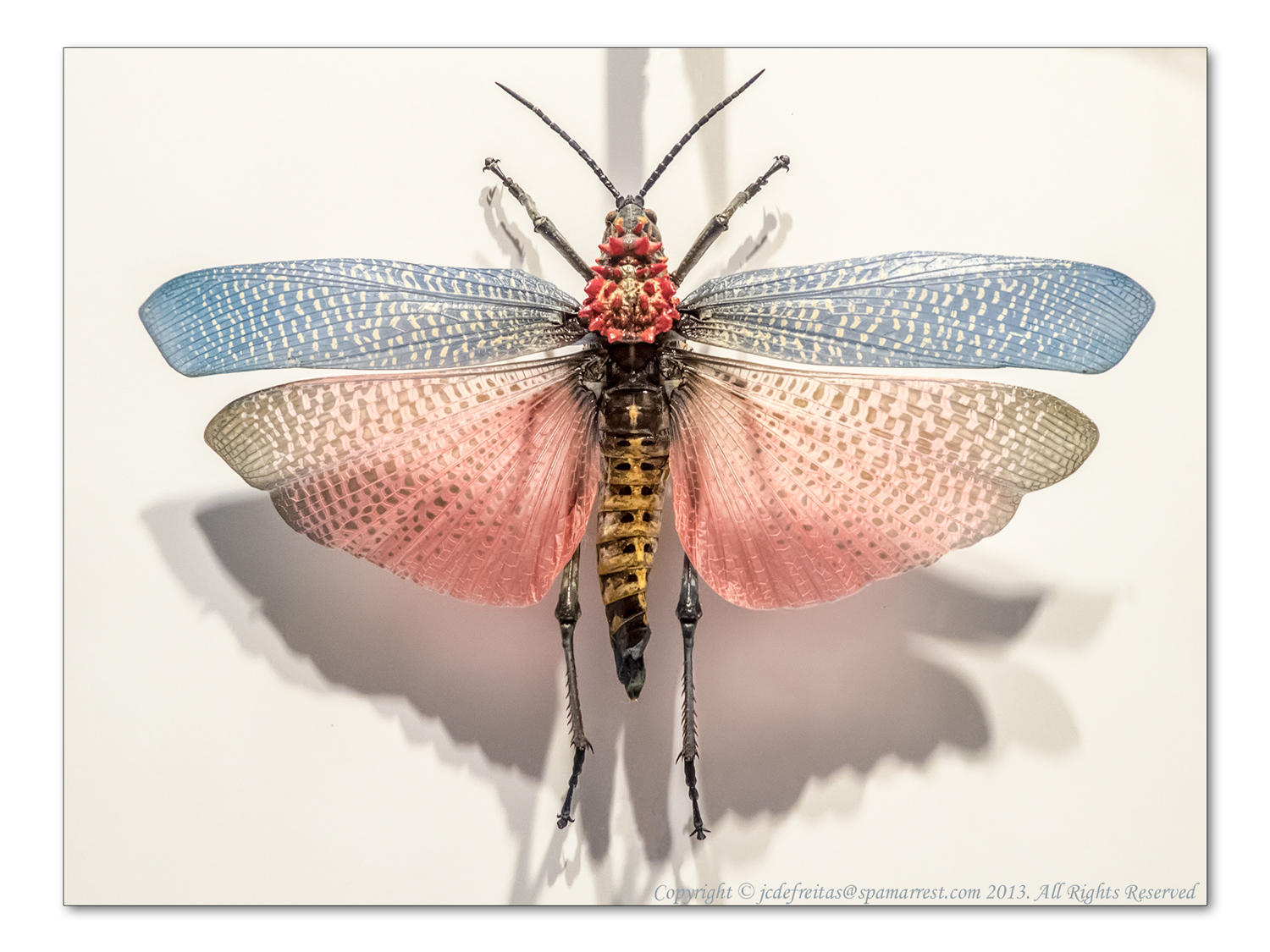 2014 - Insectarium - Montreal Botanic Garden, Quebec - Canada