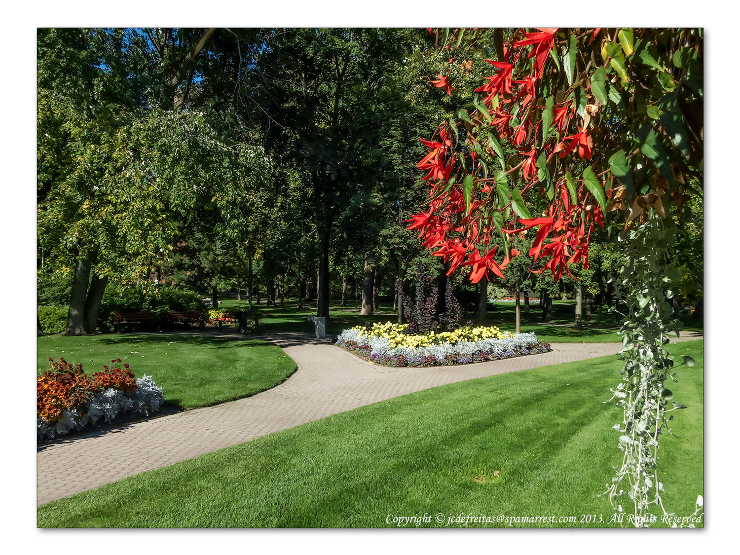 2014 - Rosetta McClain Garden - Toronto, Ontario - Canada
