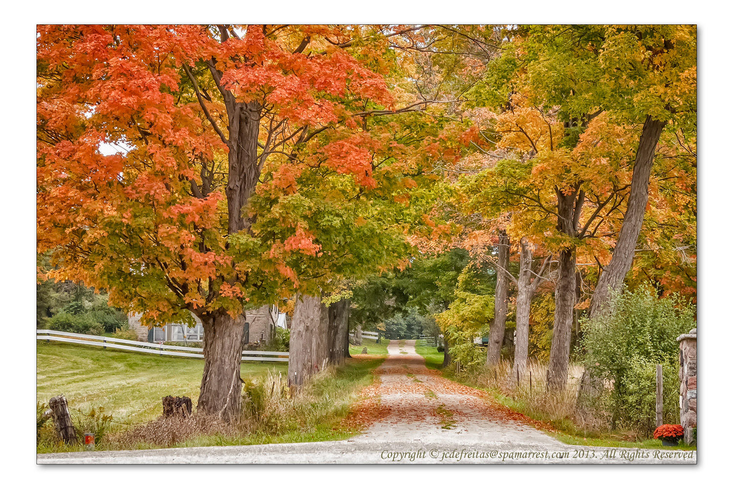 2014 - Autumn Colours - Elora, Ontario - Canada (Month Pbase Photo Challenge, Os in October)