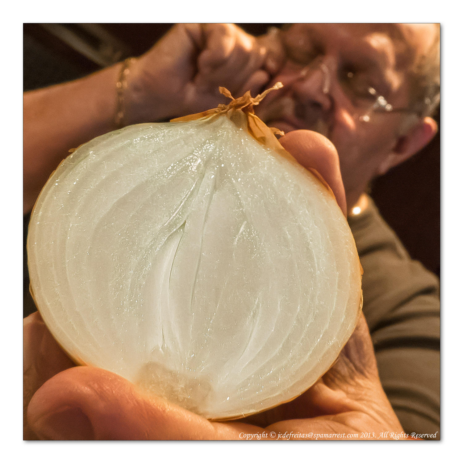 2014 - Onion (Month Pbase Photo Challenge, Os in October)