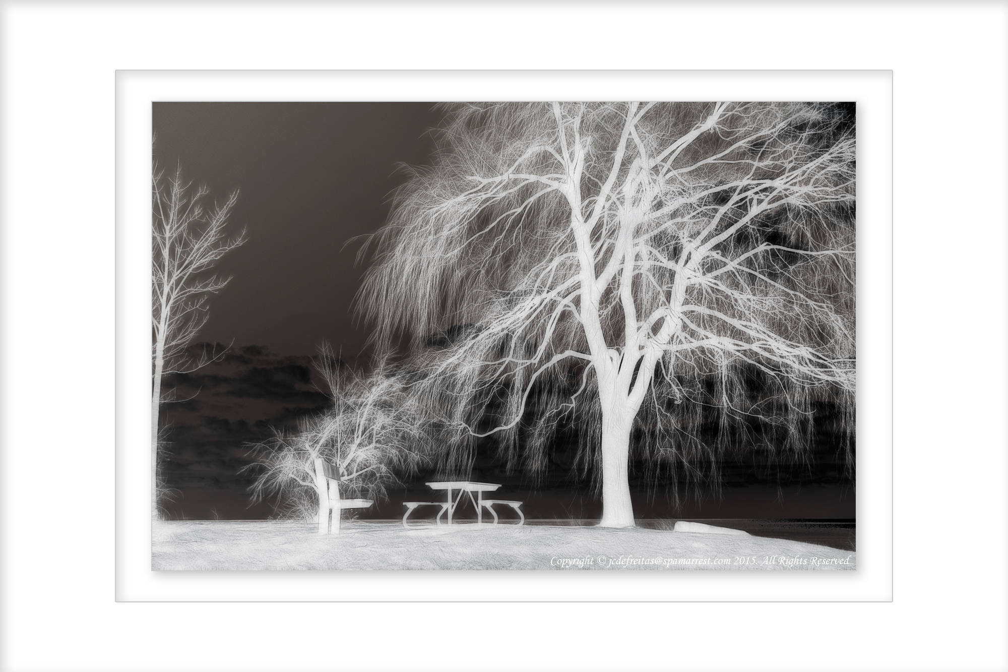 2015 - Scarborough Bluffs - Toronto, Ontario - Canada