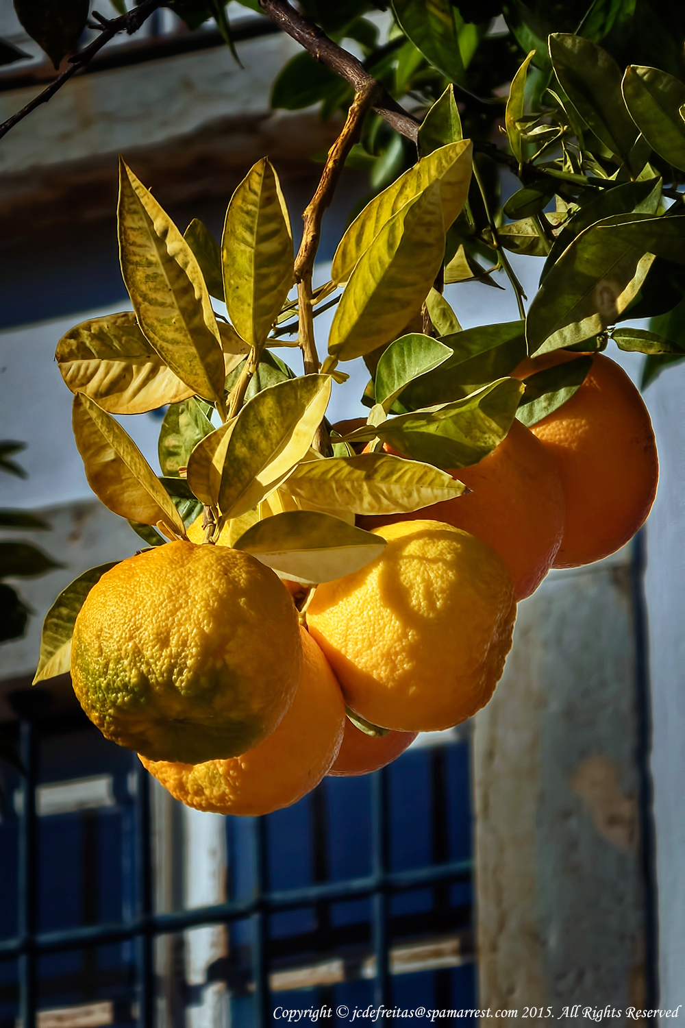 2015 - Vila Adentro -  Faro, Algarve - Potugal