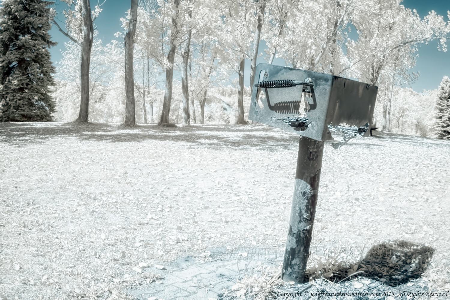 2015 - Scarborough Bluffers Park - Toronto, Ontario - Canada (Infrared)