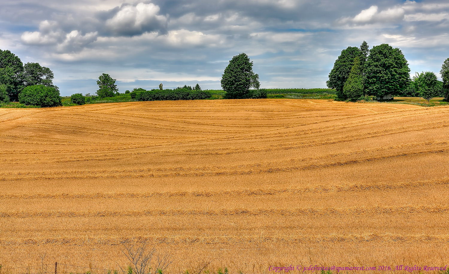 2016 - Bewdley (Port Hope County), Ontario - Canada