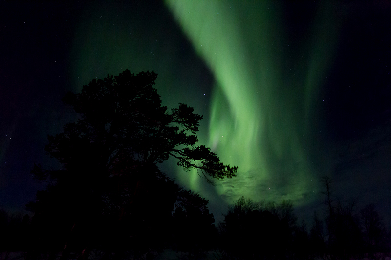 Aurora borealis