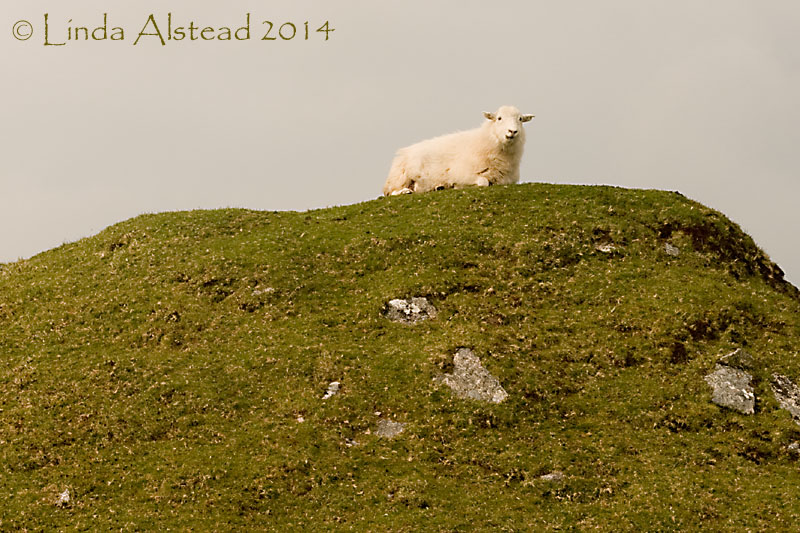 3rd May 2014 - the waiting game