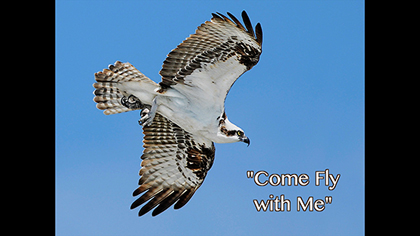 <b>COME FLY WITH ME VIDEO</b>