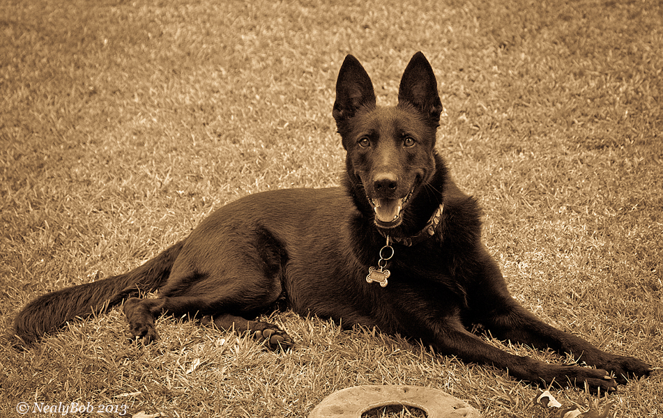 Bonnie May 14