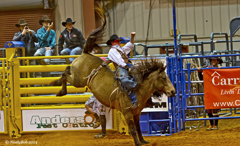 Rodeo Rider May 23