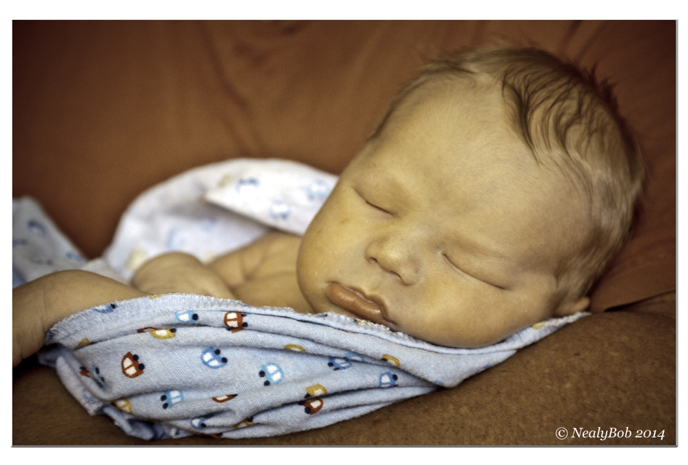 Baby Evan July 29