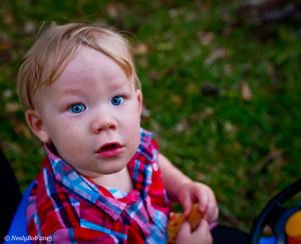 Evan November 6