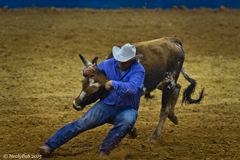 Steer Wrestling