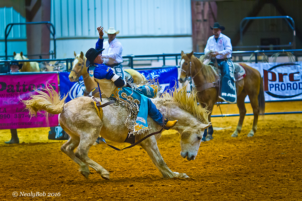 Bare Back Rider