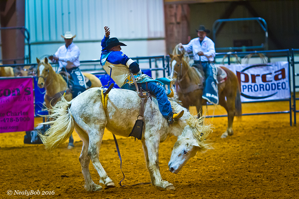 Bare Back Rider