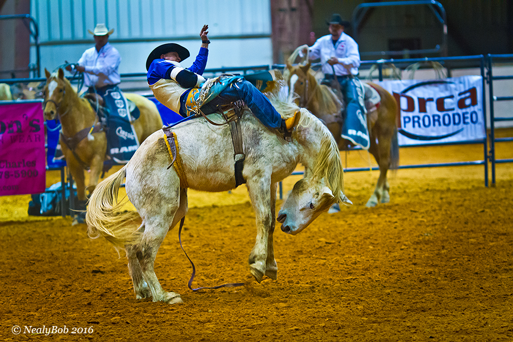 Bare Back Rider
