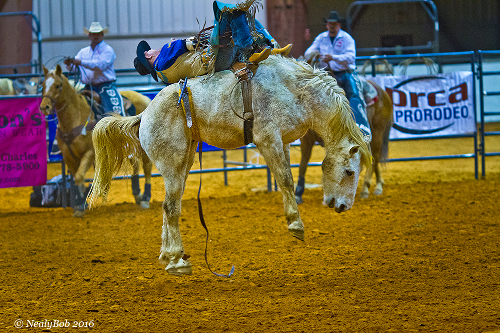 Bare Back Rider