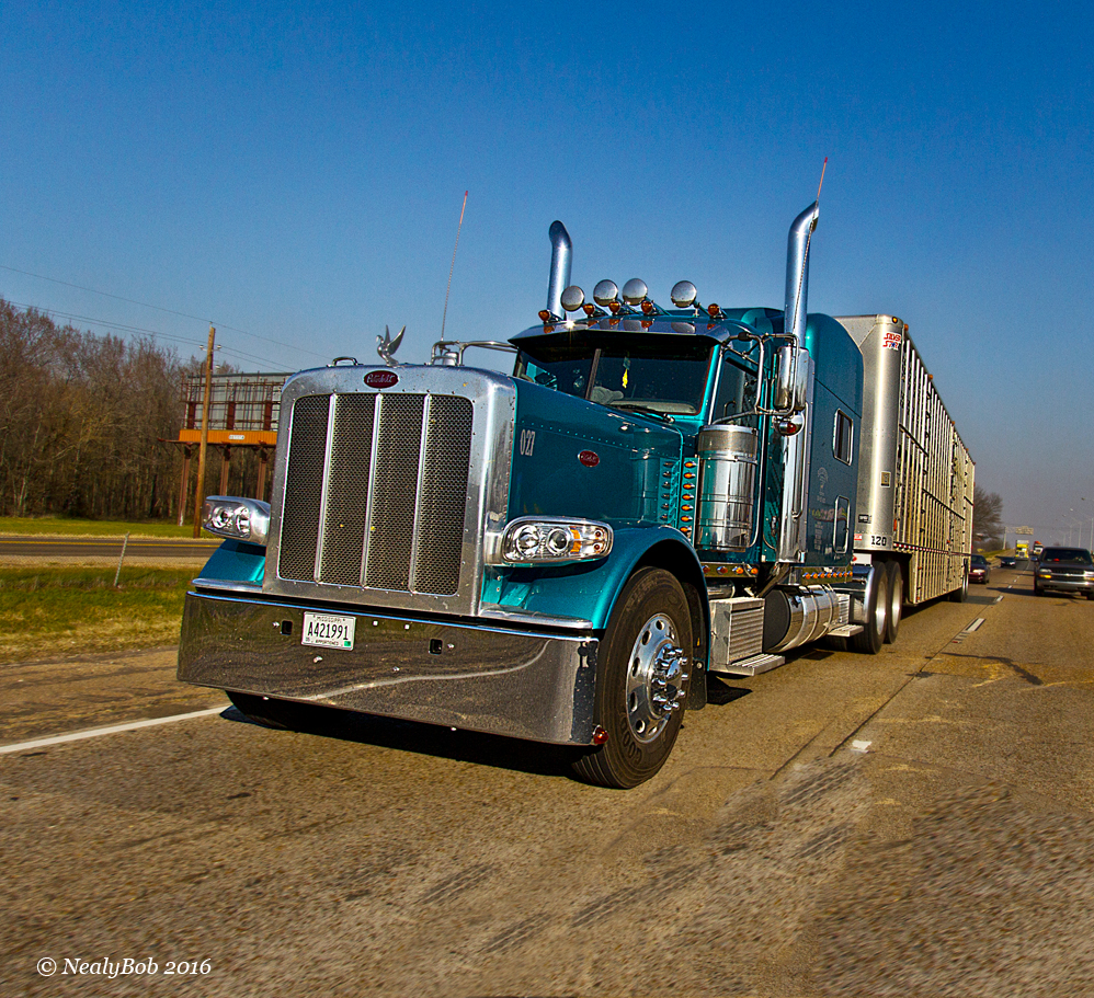 Cow Hauler