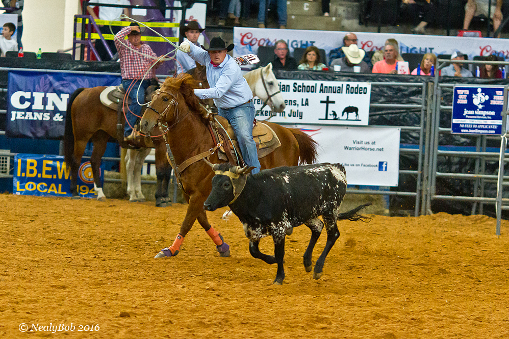 Rodeo Action