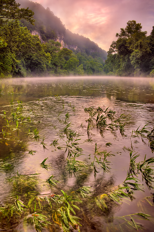 Flooded River