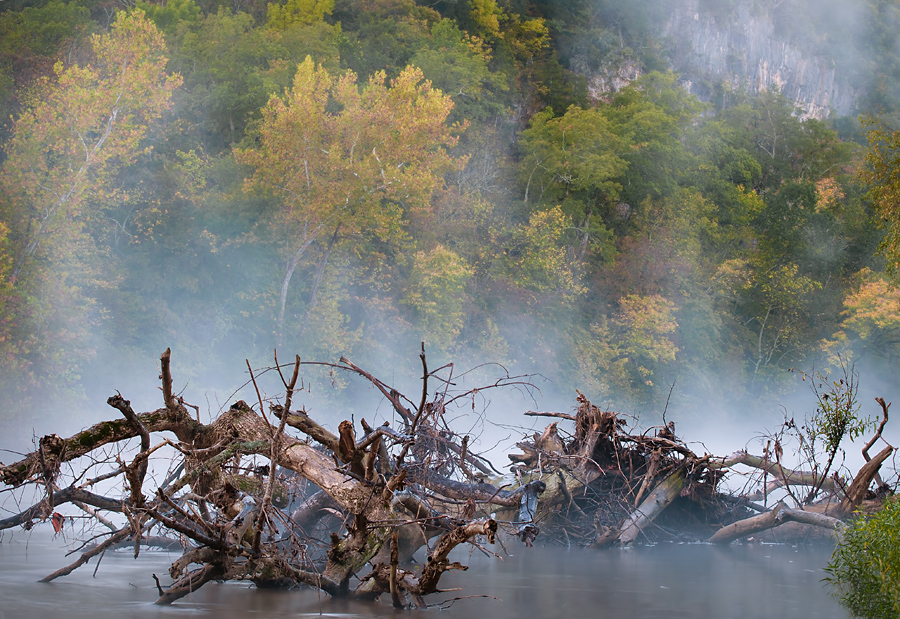 Log Jam