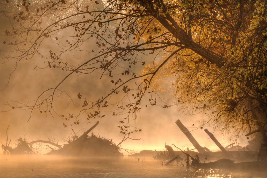 The Mists of November