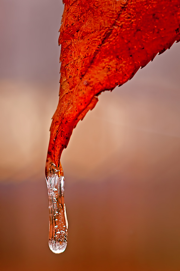 Frozen rain