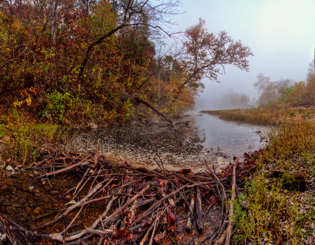 Beaver Dam