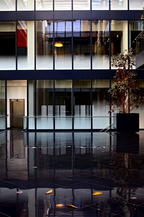 Office reflections
