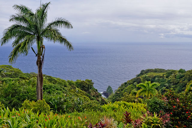 The Garden of Eden Botanical Garden