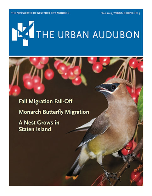 Urban Audubon Cover - Fall 2015