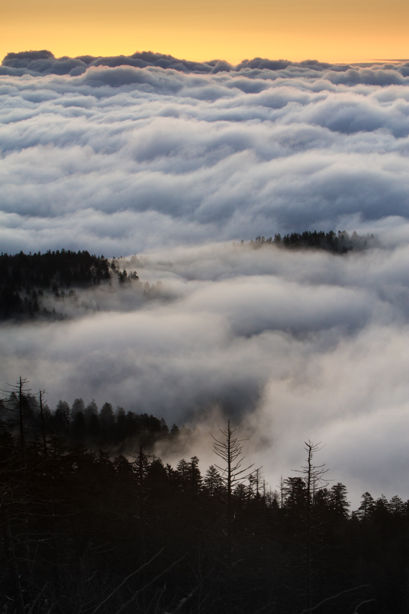 Smokies_20120419_4999.jpg