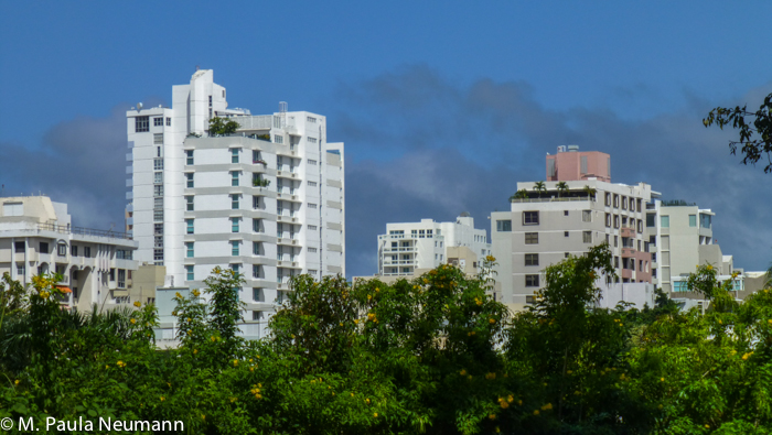 P1020014.jpg