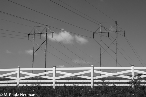 _MG_3124.jpg