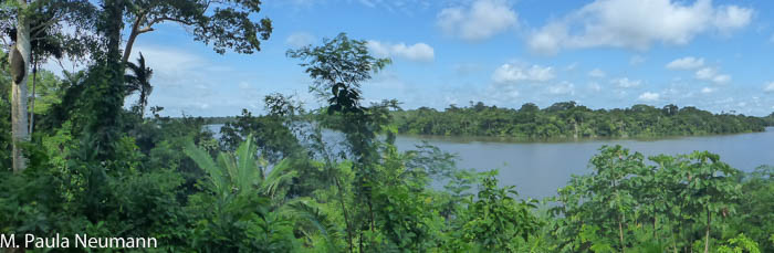P1000844.JPG