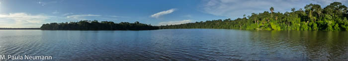 P1000857.JPG