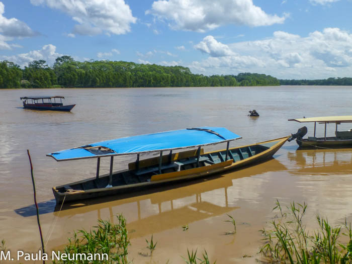 River boats