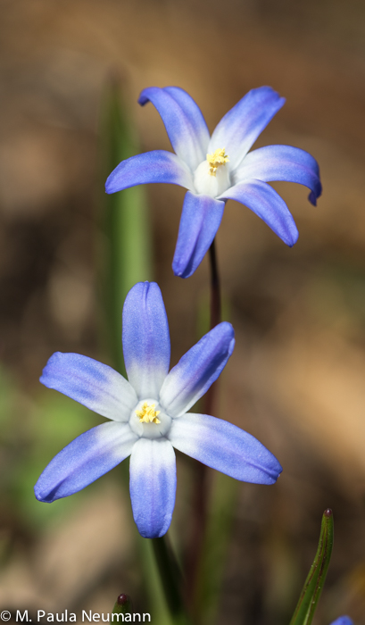 3D0A8354.jpg