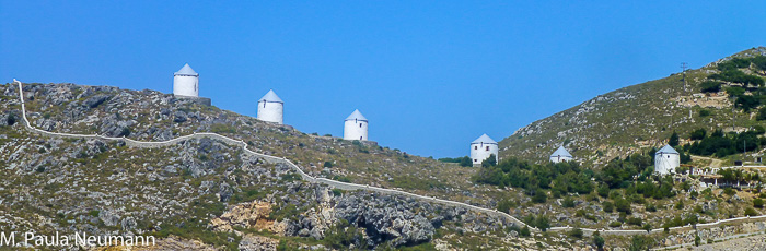 P1090561.JPG