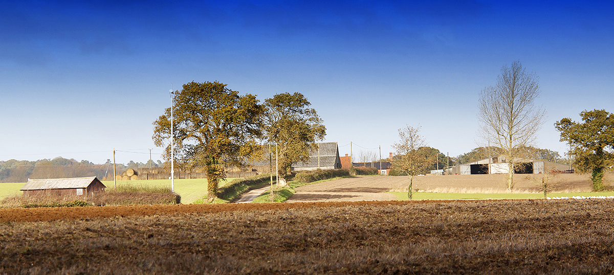 Just a country scene near home