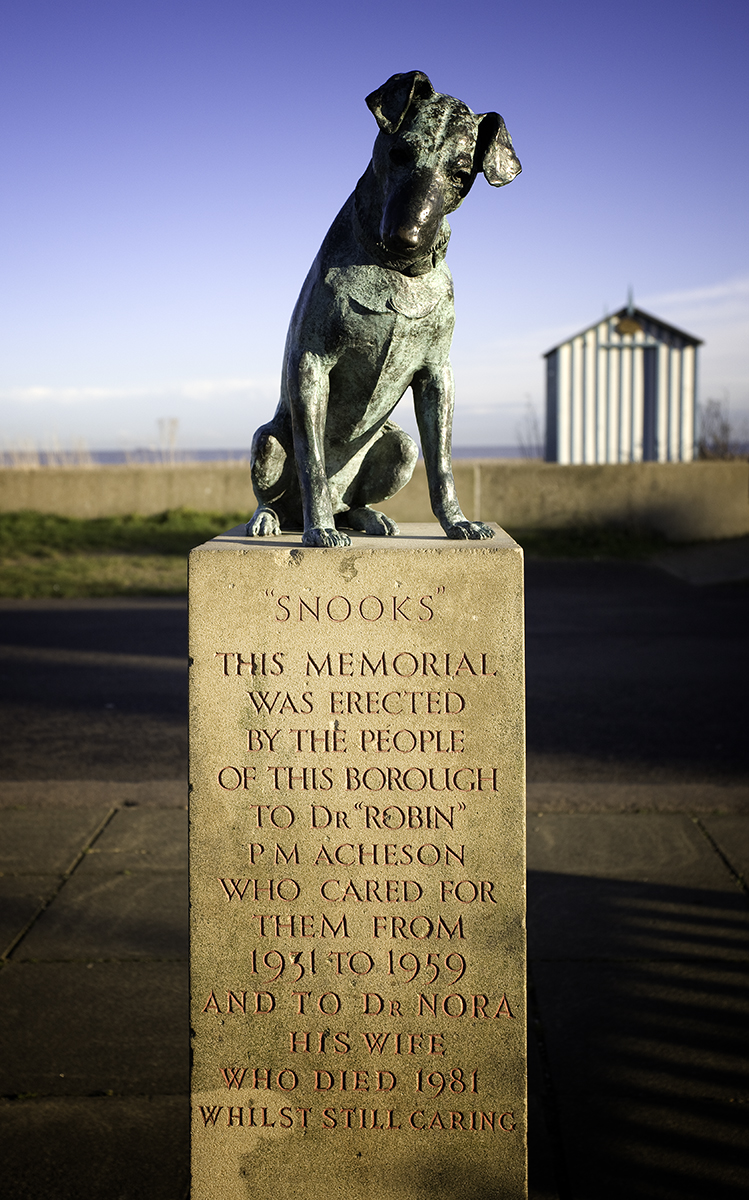 Snooks the Dog