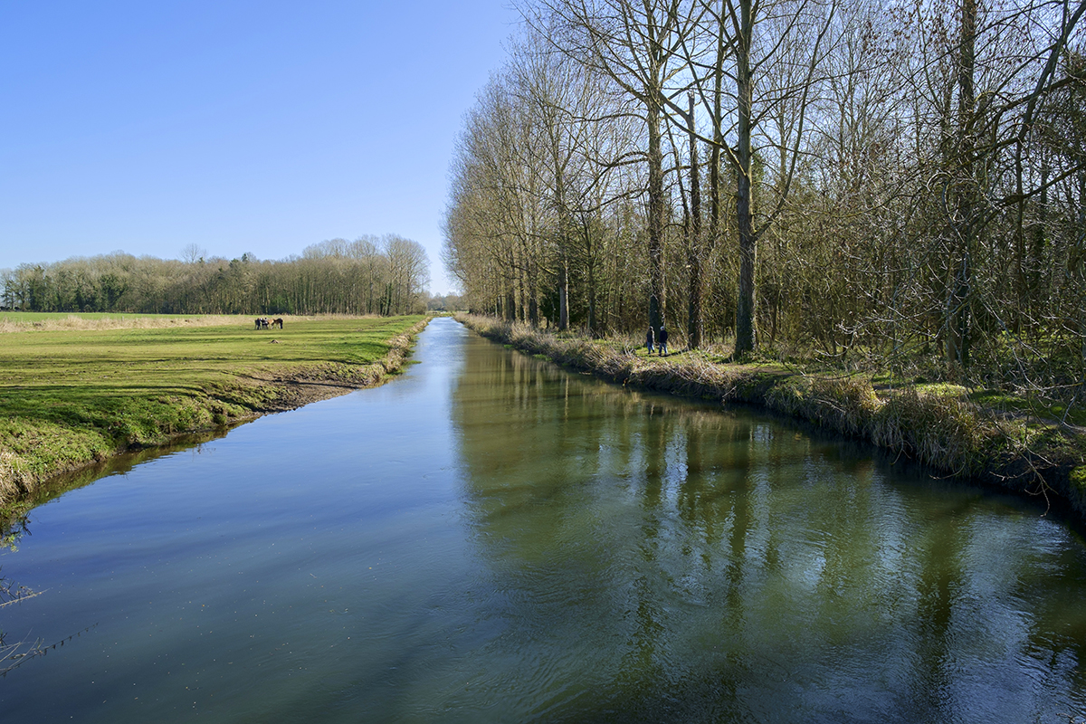 Is there anything better than a stroll along the river on a lovely day?