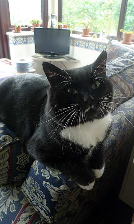 Charlie