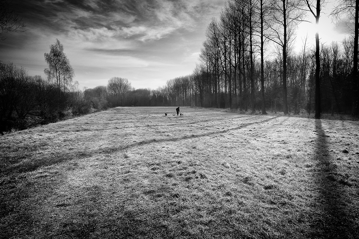 Cold January Morning