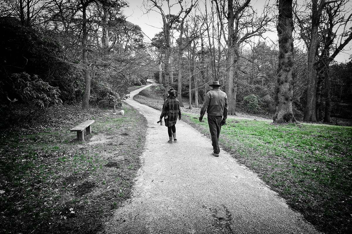 The Dogs Day Out