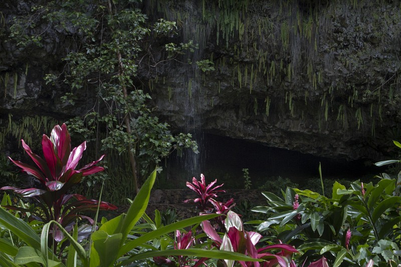 27.  The Fern Grotto, Kauai.